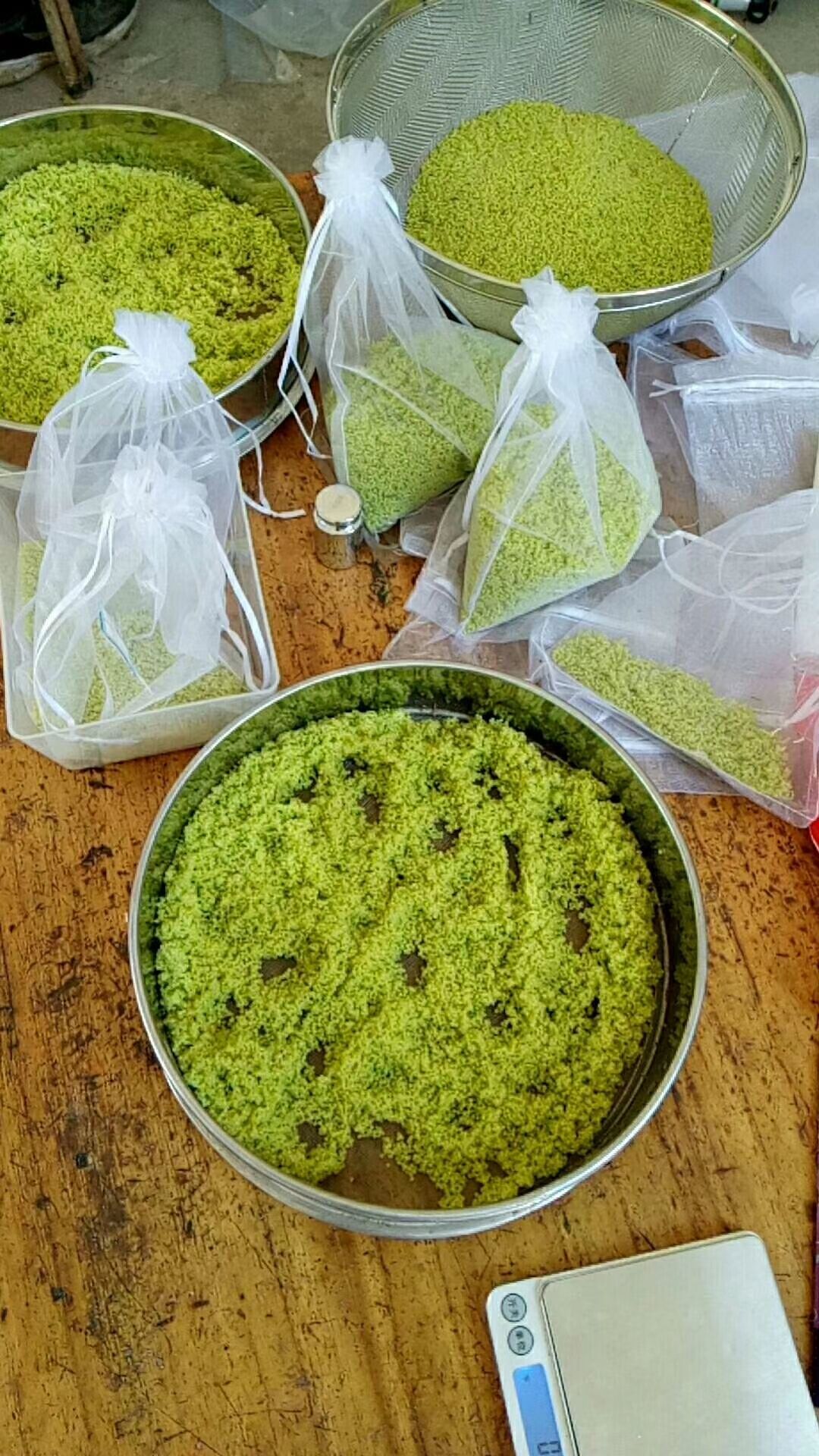豆虫  豆青虫卵，豆丹卵