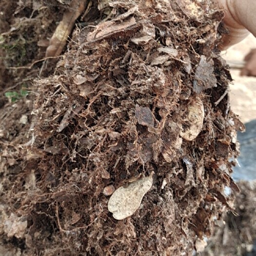 栽培基质  常年出售纯杂木叶腐质土 ，基质土，松针土，需要的老板赶紧了