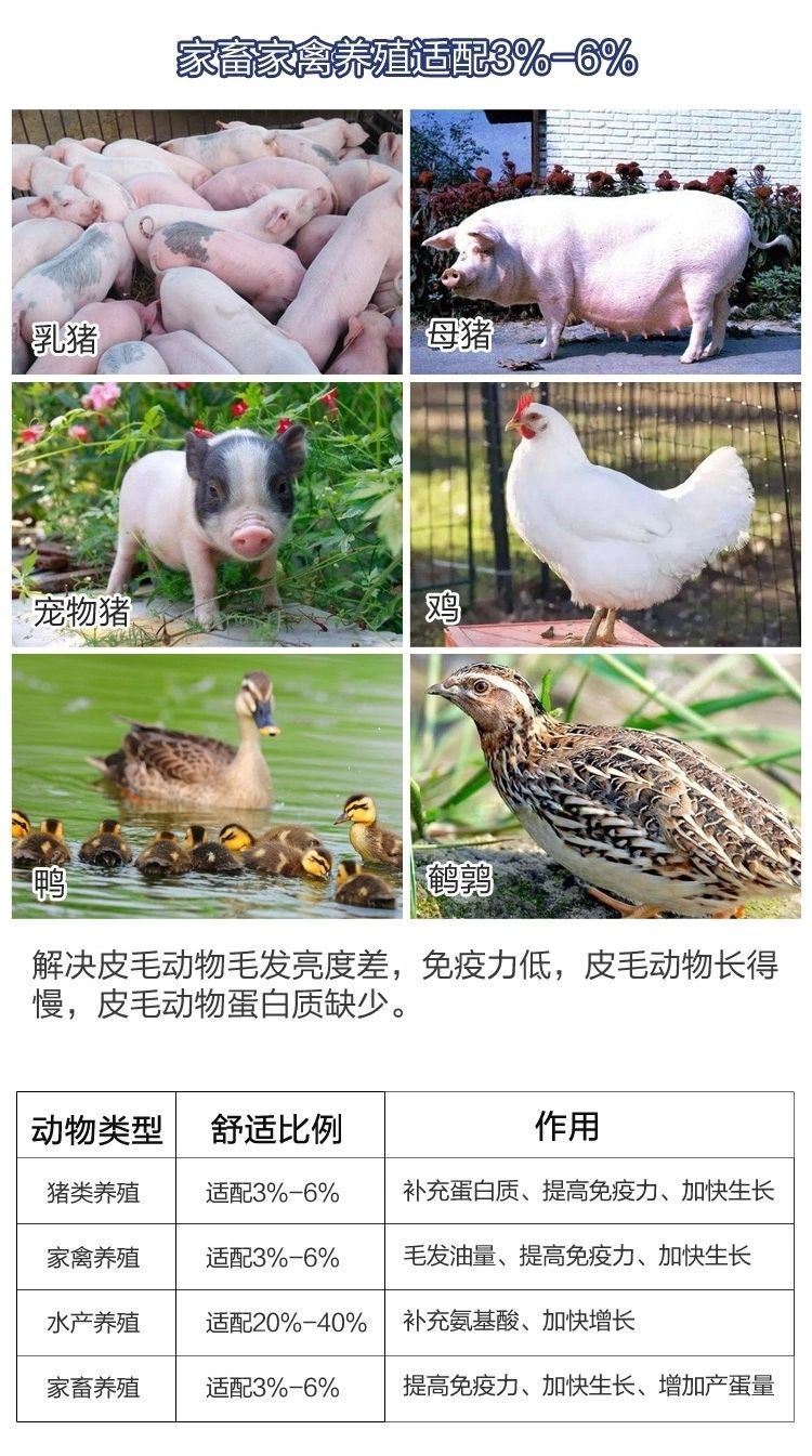 饲料鱼  秘鲁蒸汽鱼粉68%蛋白 饲料级 水产养殖饲料