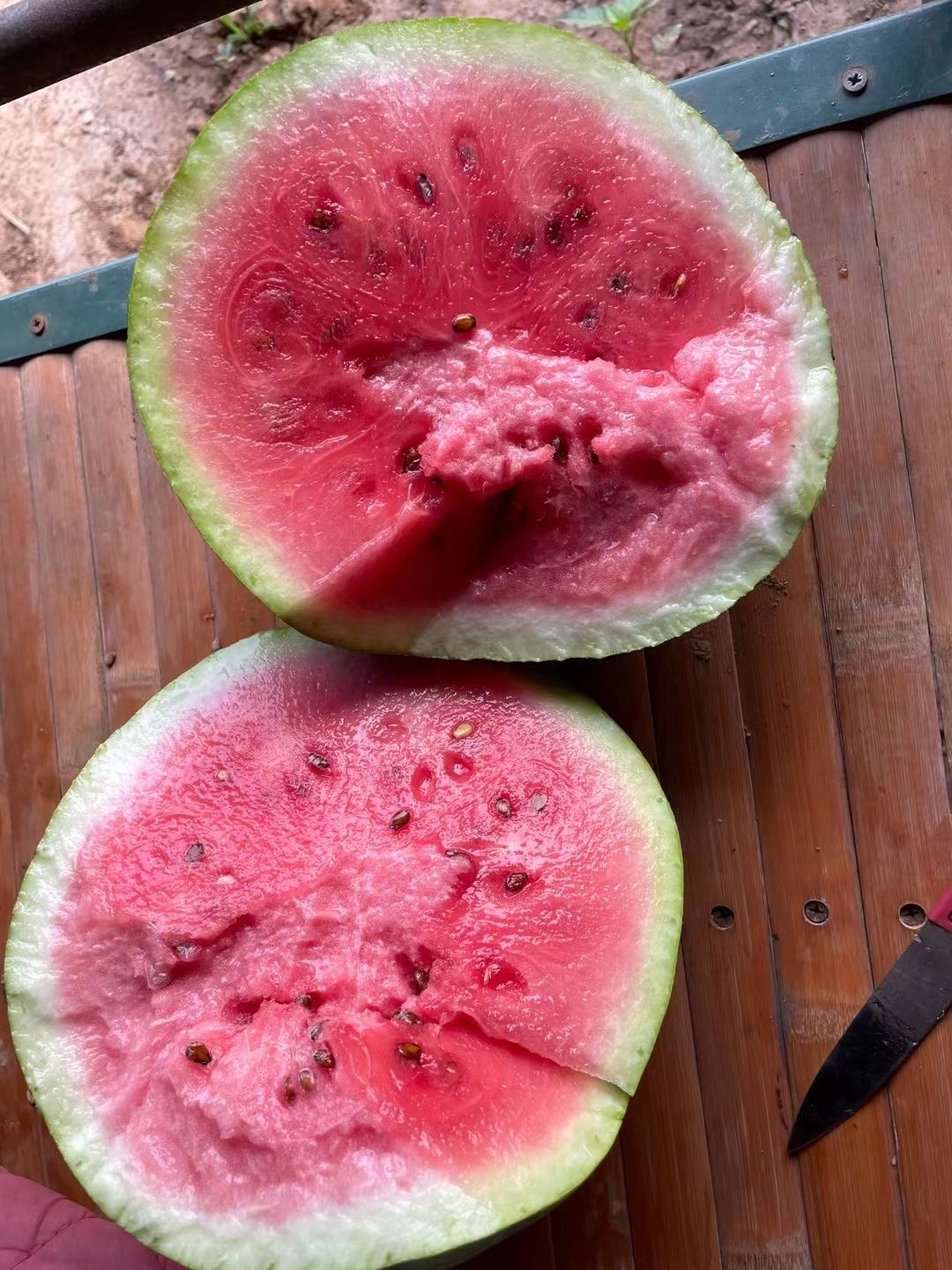 龙卷风西瓜成熟