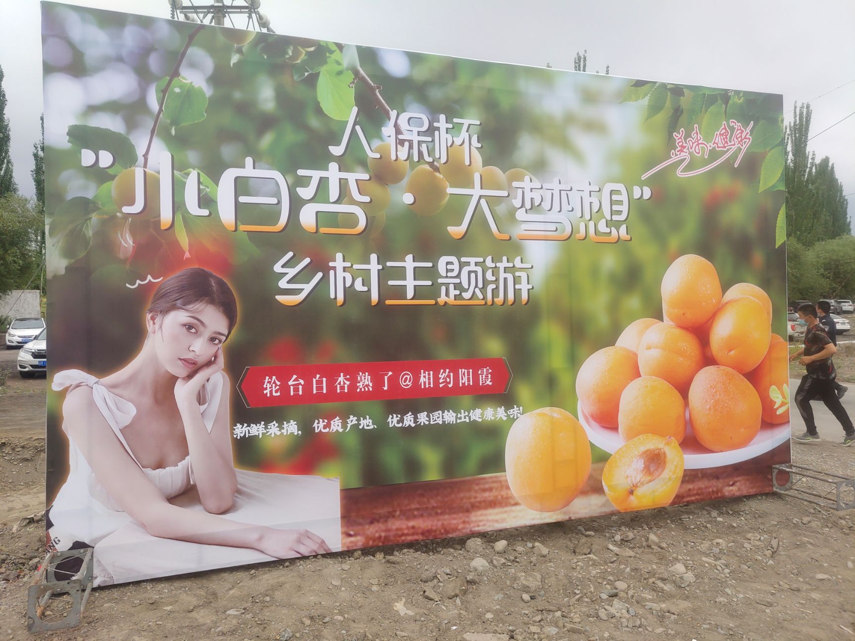 轮台小白杏现摘现发保证新鲜产品航空快运发货原产地