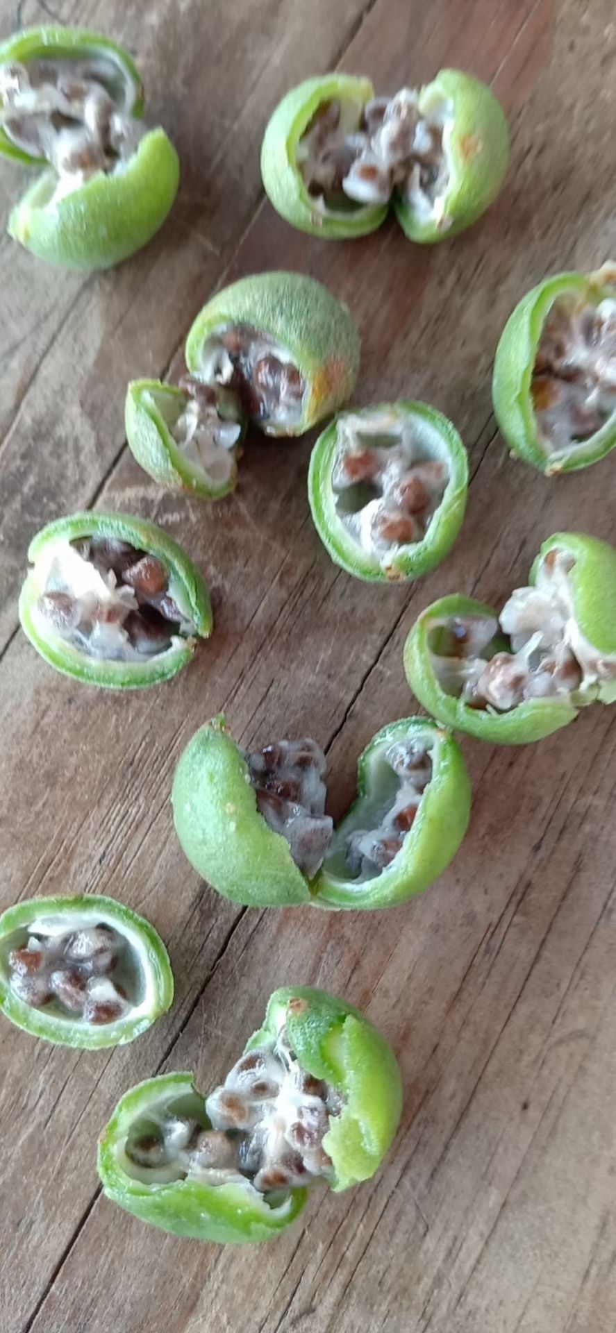 益智干 中药材信宜益 智仁批发量大从优 益智仁鲜果