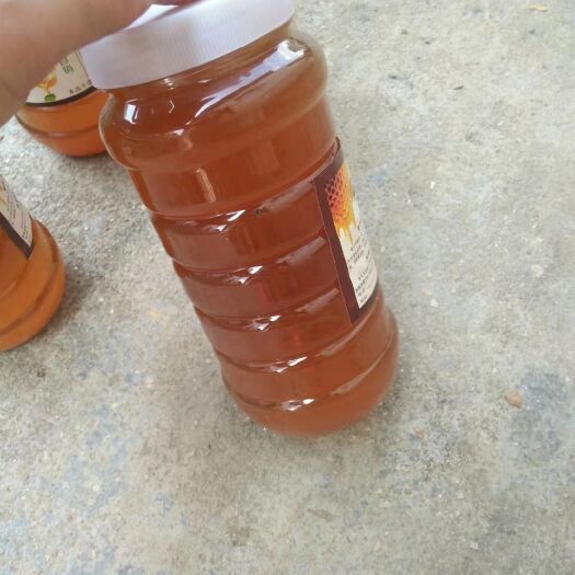 始兴县野蜂蜜 来自广东粤北山区韶关的蜂蜜