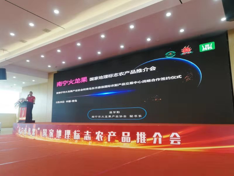 金都一号火龙果