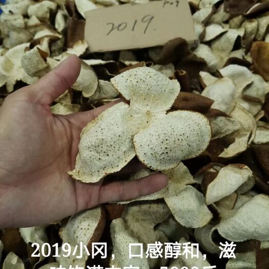 江门陈皮 2019年小冈皮