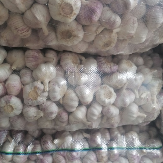 邳州市红皮蒜  邳州精品蒜，精品红蒜净蒜
