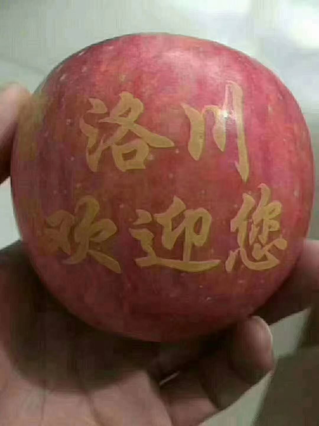 红富士苹果  洛川苹果