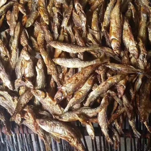 铅山县刁子鱼干 鱼干