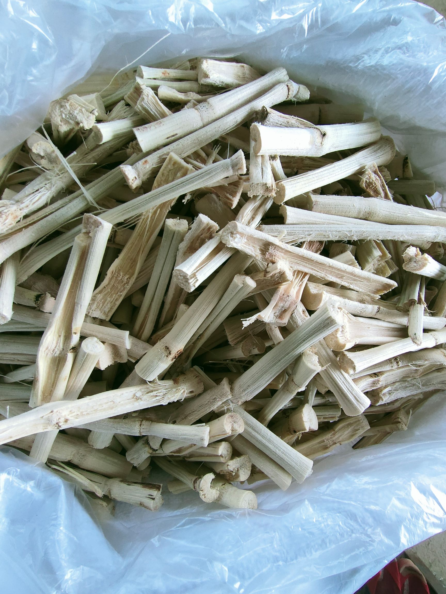 甘蔗干竹蔗干宠物磨牙棒