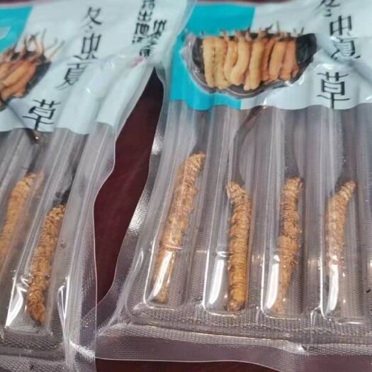 工布江达新鲜的那曲虫草
