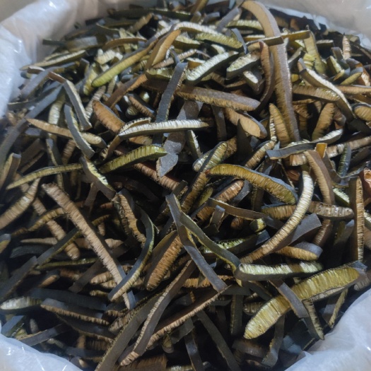 兰州海笋条
