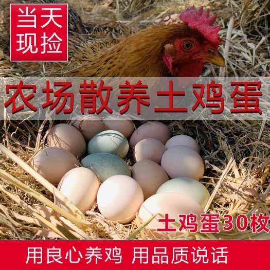 涉县【现捡现发】农家散养土鸡蛋（30枚）新鲜草鸡蛋笨鸡蛋