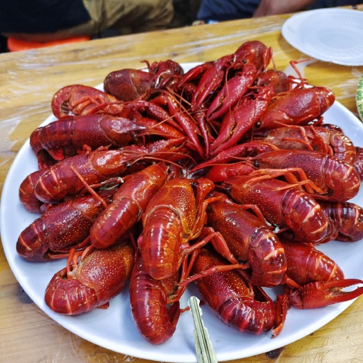 洪湖市（热销）潜江龙虾苗