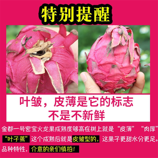 南宁 当季金都一号红心火龙果红肉应季新鲜热带水果批发整箱