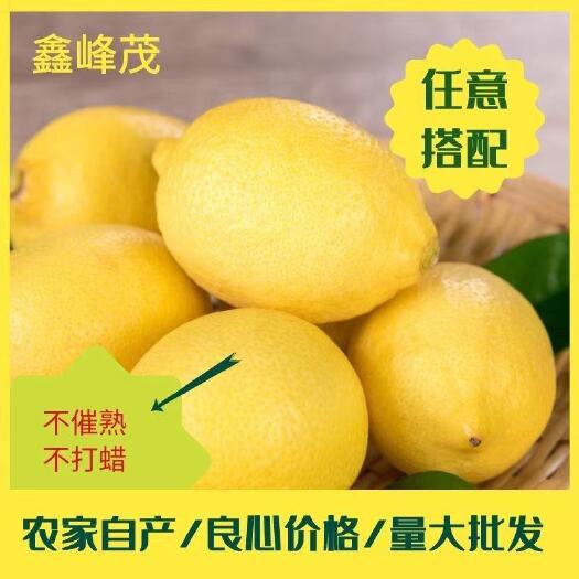 安岳县尤力克柠檬  安岳黄柠檬1.2级，自家果园产地直发，带箱称重