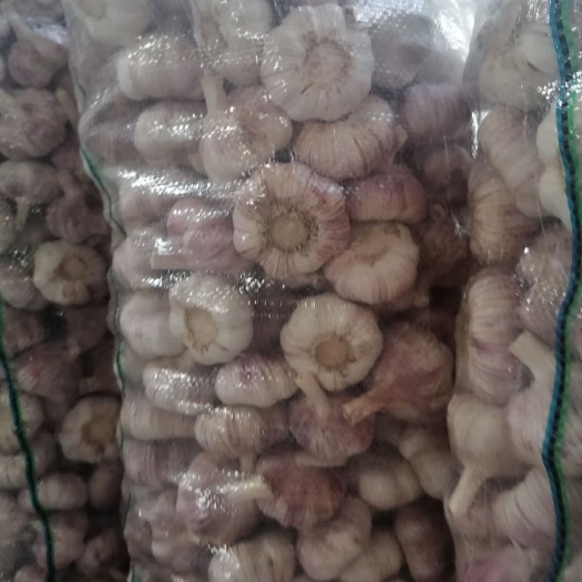 邳州市红皮蒜  邳州市大蒜净蒜红蒜，精品净蒜