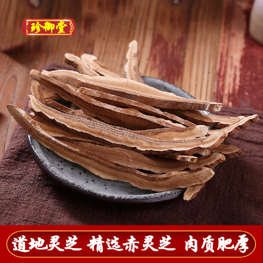 亳州公斤灵芝 灵芝片现货供应 大量批发灵芝片 赤灵芝  片型均匀