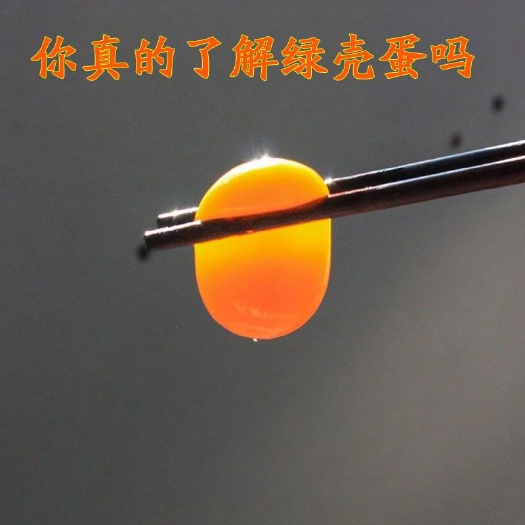 崇仁县有机认证山林散养绿壳蛋