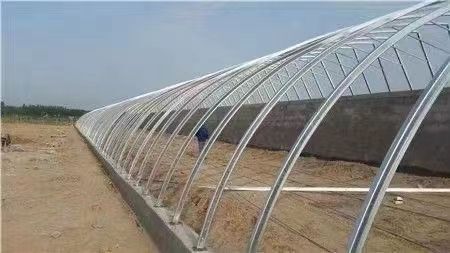 天津大棚管 养殖棚，种植棚，温室大棚，各种棚型任您选择