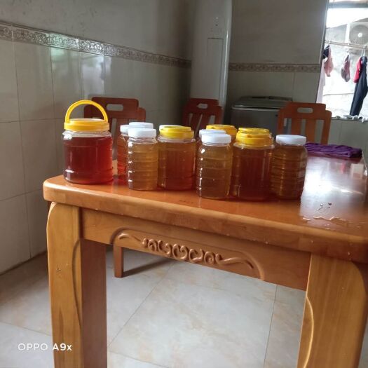 惠州自家土蜂蜜