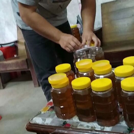 龙门县百花蜜  纯蜂蜜 蜂场直销，批发零售均可