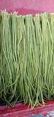 长豇豆  精品长豆角，产地一手货源，量大质优价廉，满足一切包