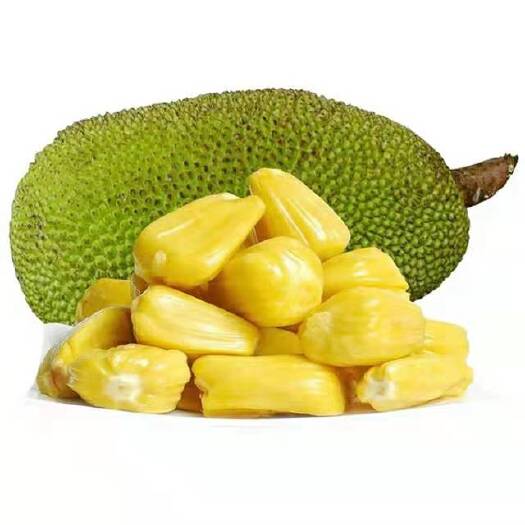 定安县海南菠萝蜜热带水果超甜水果