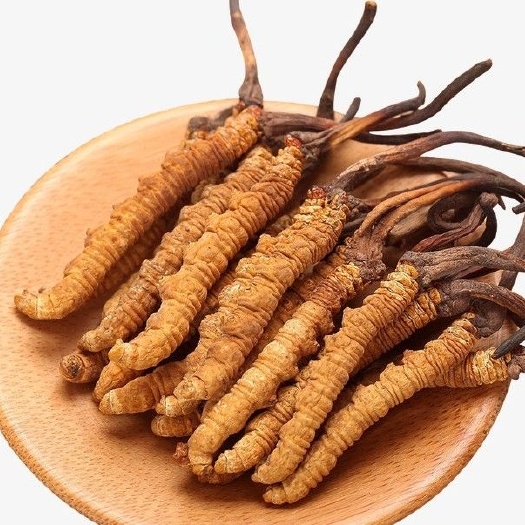 兴义市冬虫夏草