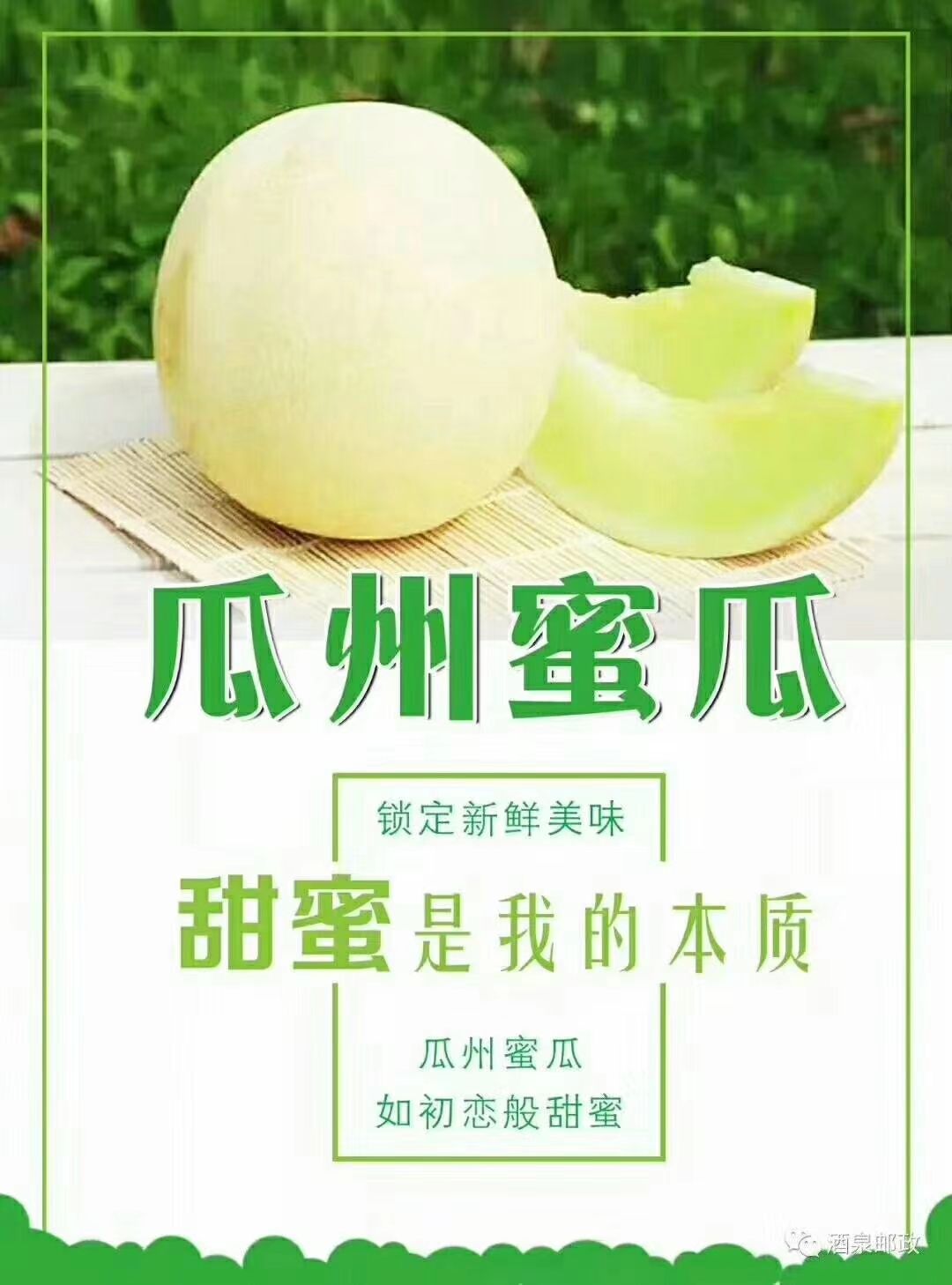 大漠戈壁银蒂白兰瓜，现摘，甜可口，肉脆汁多，清爽宜人消暑解暑