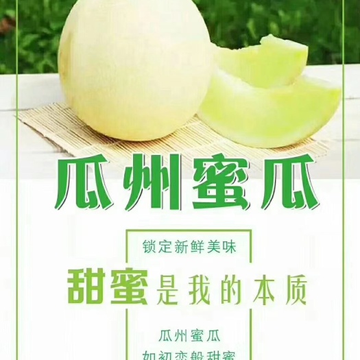 大漠戈壁银蒂白兰瓜，现摘，甜可口，肉脆汁多，清爽宜人消暑解暑