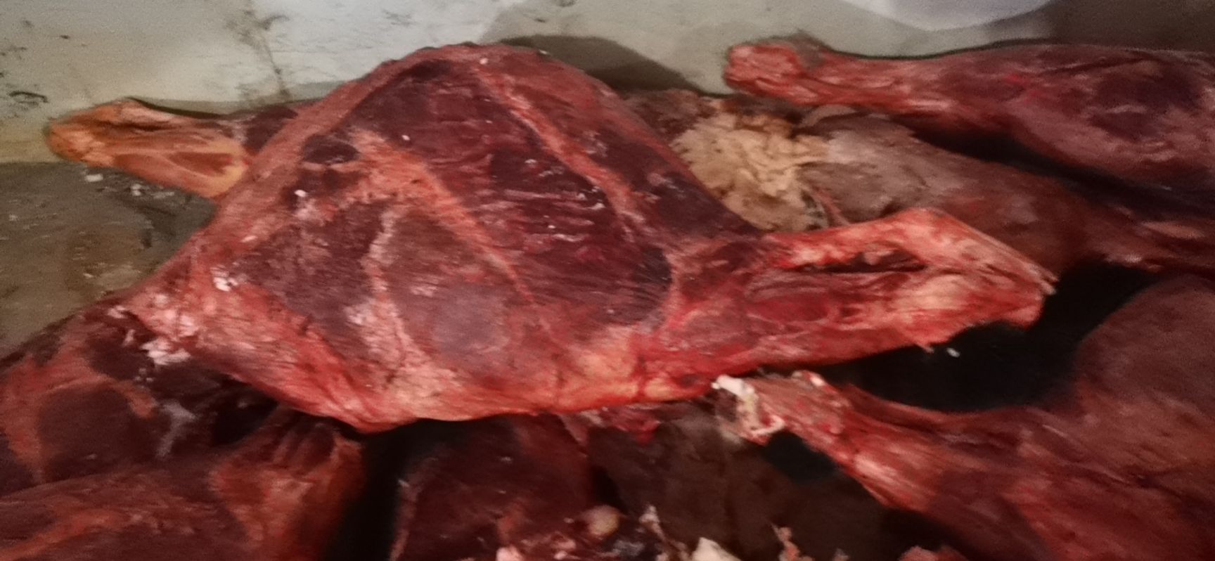 牛肉类  纯草原鲜牦牛肉四分体，