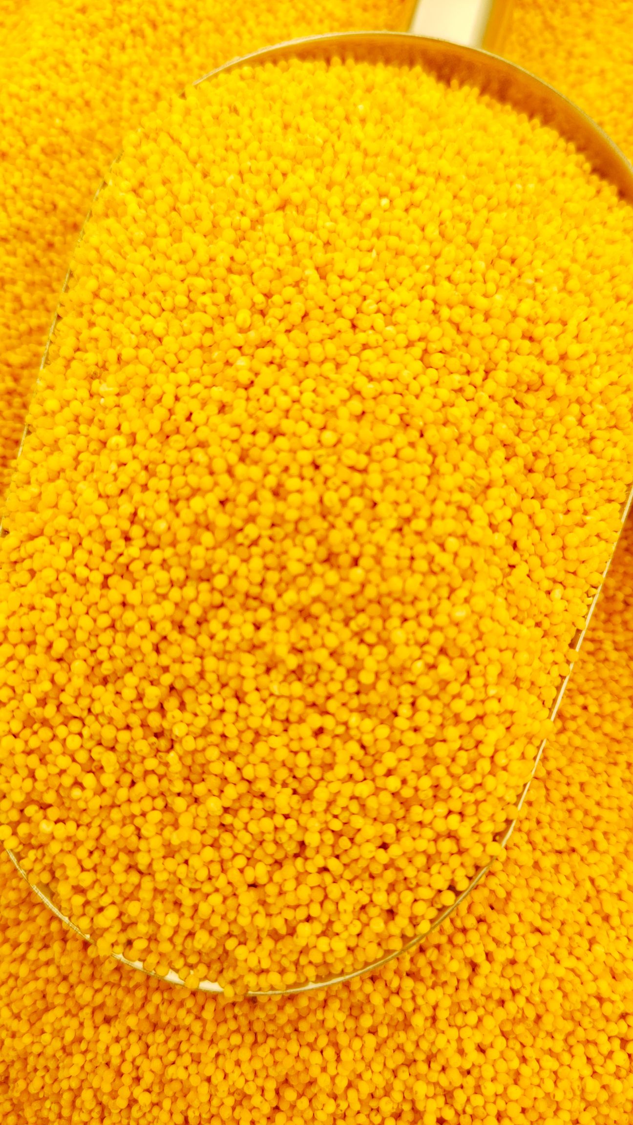 喀喇沁旗黄小米  赤峰小米，2022年新米 月子米
产地直销，量大从