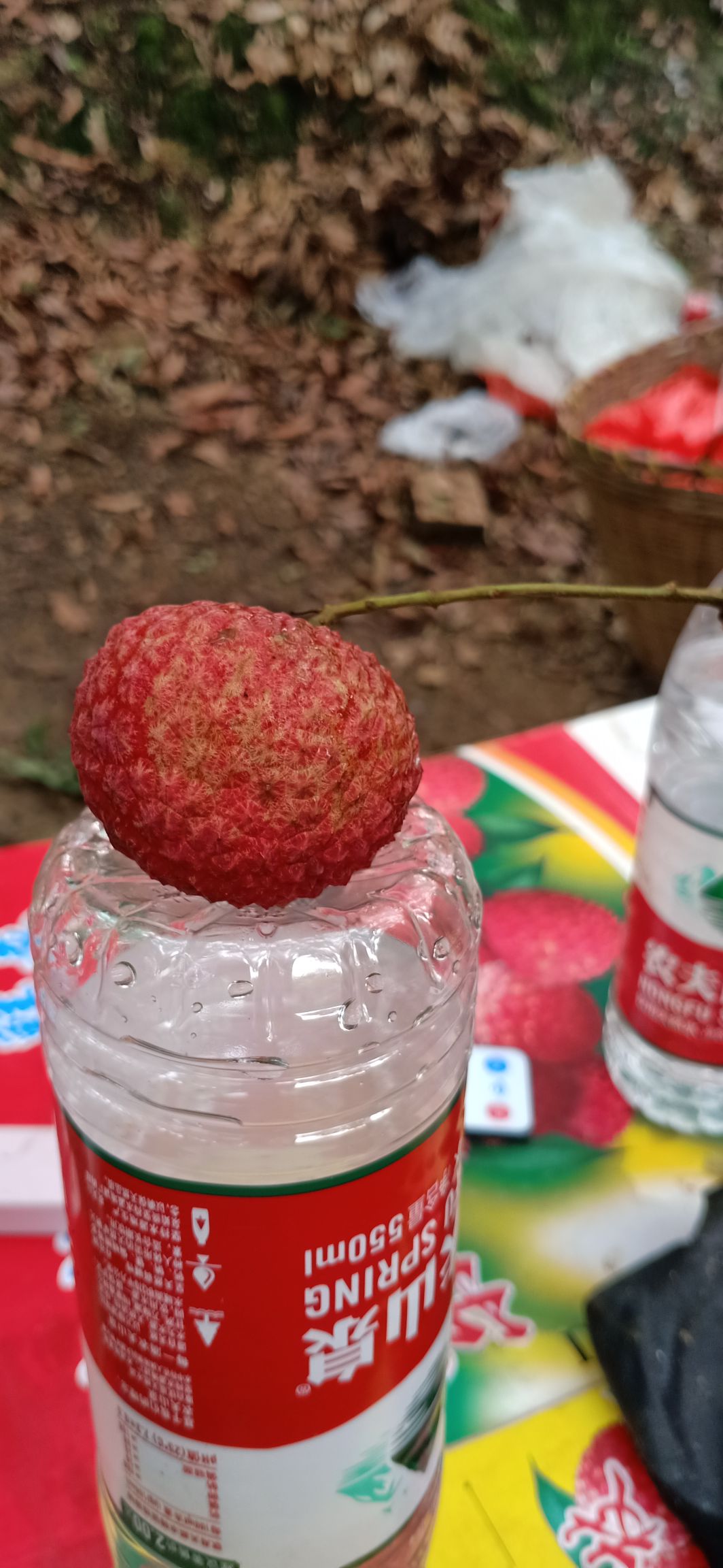 岭南佳果甲天下，荔枝香飘千万家，糯米糍