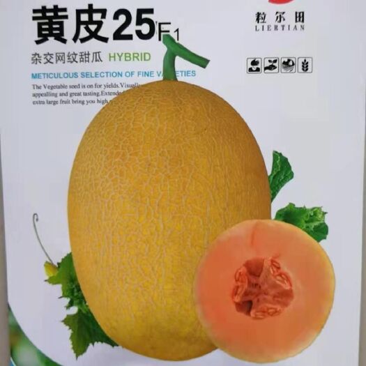 扶沟县网纹瓜种子  黄皮哈蜜瓜种子黄皮25大果抗病抗裂易座果中粗网