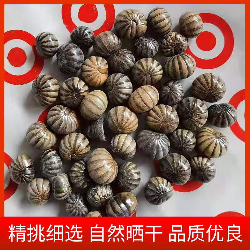 滚山珠中药材 500克 正品 滚山珠虫 地罗汉 滚山虫