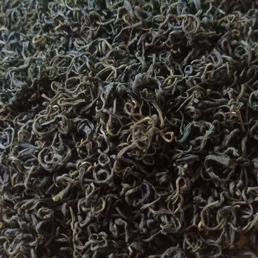 贵定县云雾茶  谷雨童货，一手批发