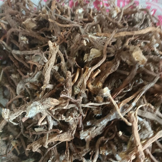 白头翁 批发 含量够产地直发