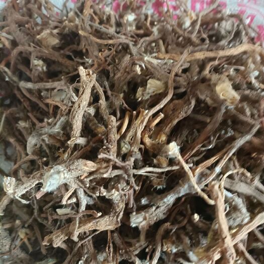 南召县白头翁 批发 含量够产地直发