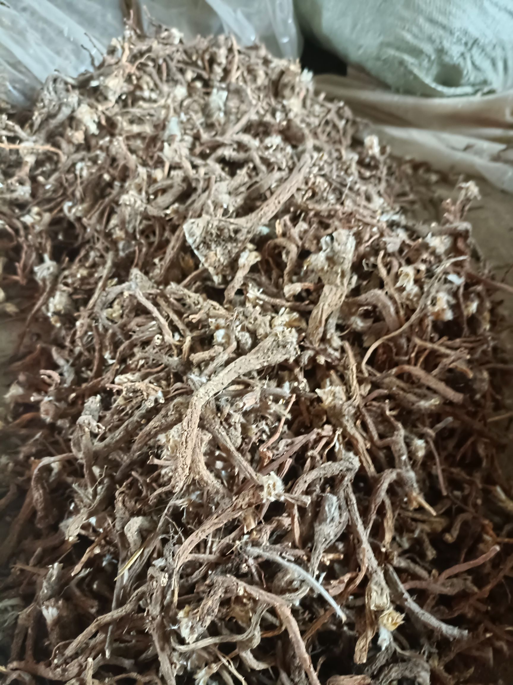 白头翁 批发 含量够产地直发