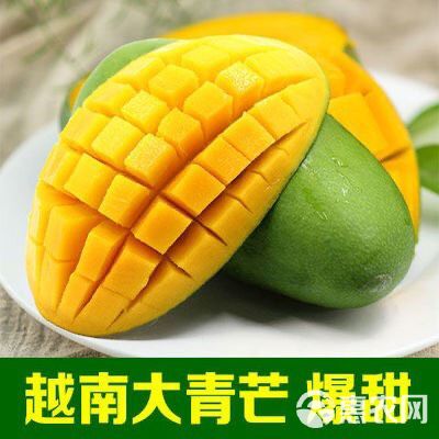 越南大青芒果热带新鲜大芒果金煌芒特大芒果云南青芒鲜果当季水果
