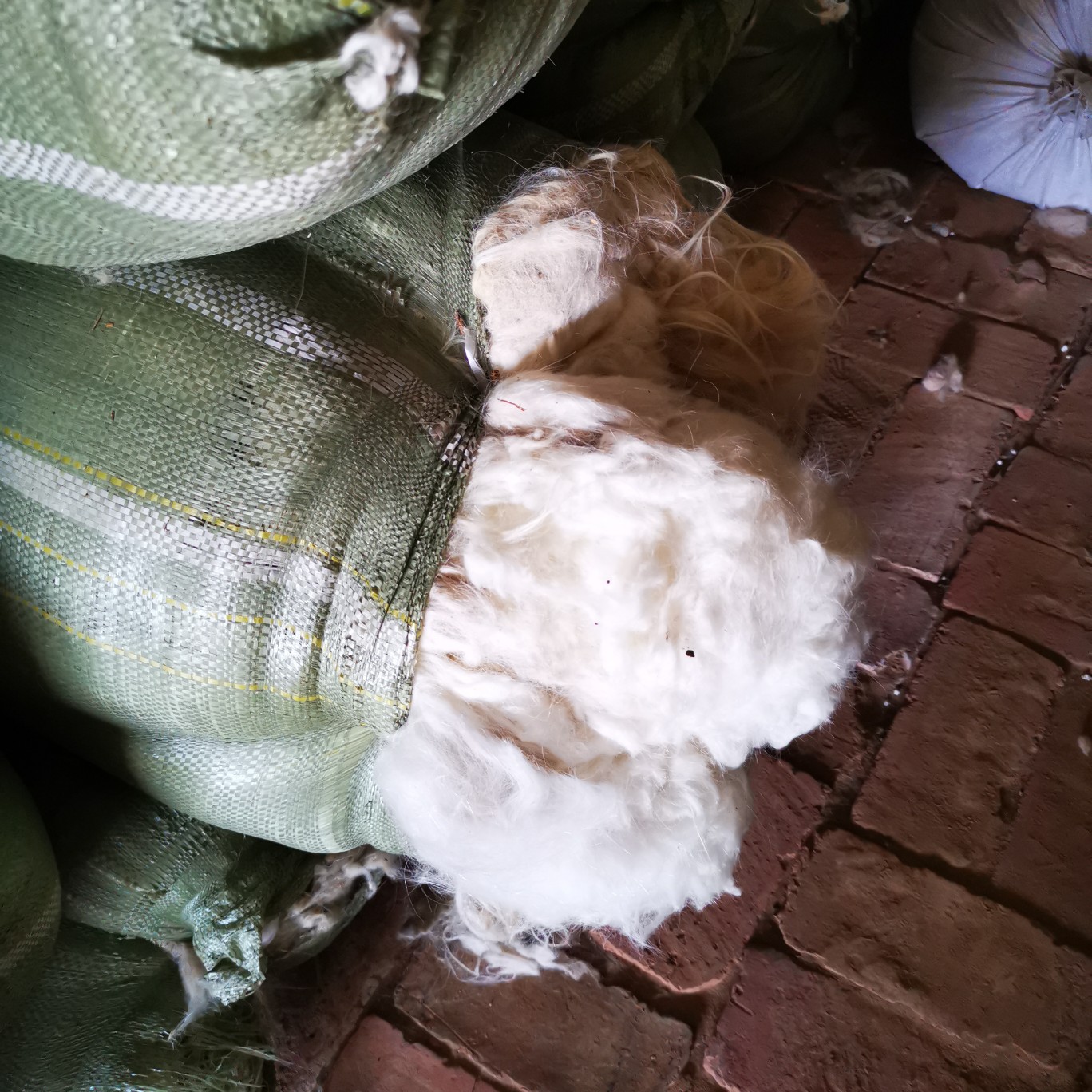 达拉特旗羊绒  羊套子绒，无毛绒