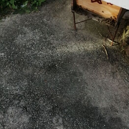 南安市百花蜜 蜂蜜