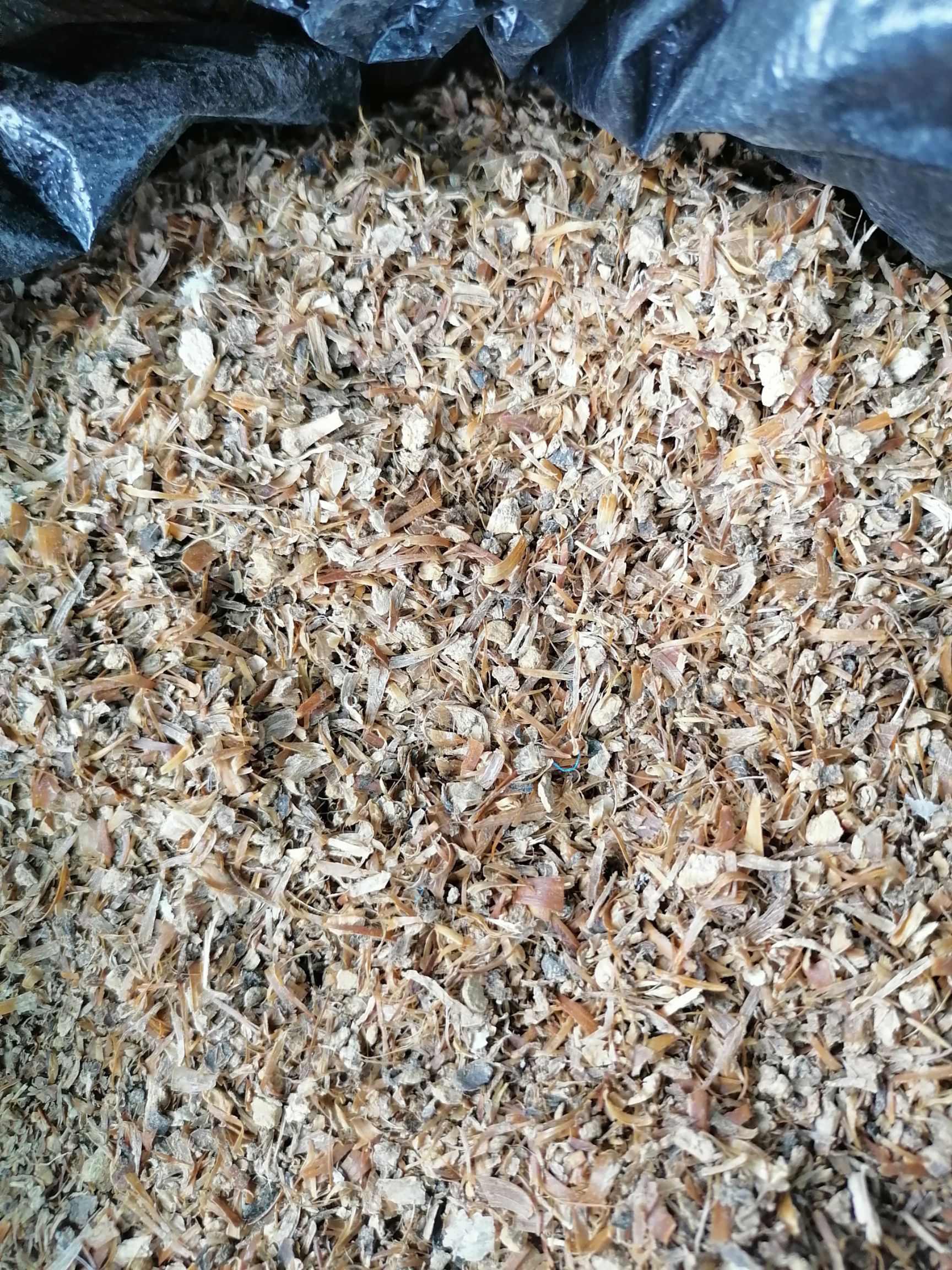 干草类饲料  水洗烘干蒜皮块干净无杂质，蒜皮糠，蒜皮颗粒大量现货，欢迎致电