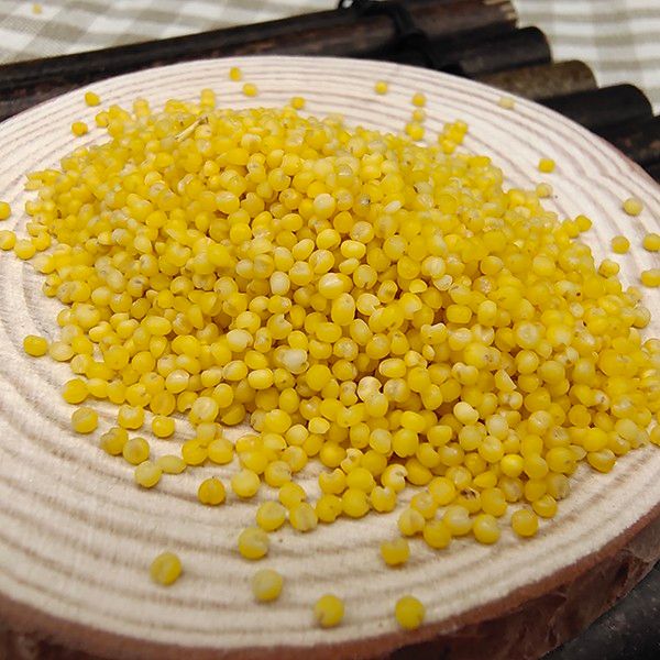 黄小米内蒙古大金苗5斤/袋顺丰包邮月子米绿色食品 资质齐全