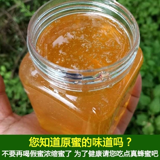 宁都县大山里的百花土蜂蜜，不喂白糖自然成熟，一年收割一次
