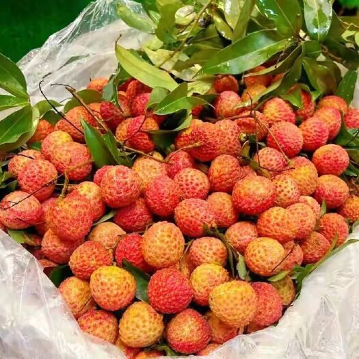 惠州 自家桂味荔枝