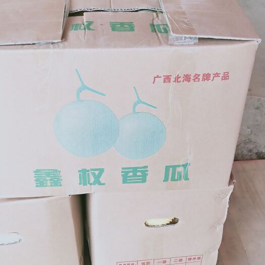甜宝甜瓜  代销批发广西北海  崇左 南宁 宾阳 贵港 湖南