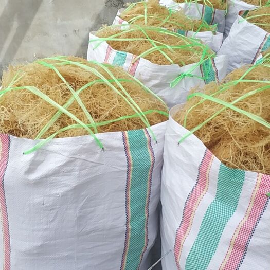 滕州市石花菜。龙须菜。
清水淡干17斤，
