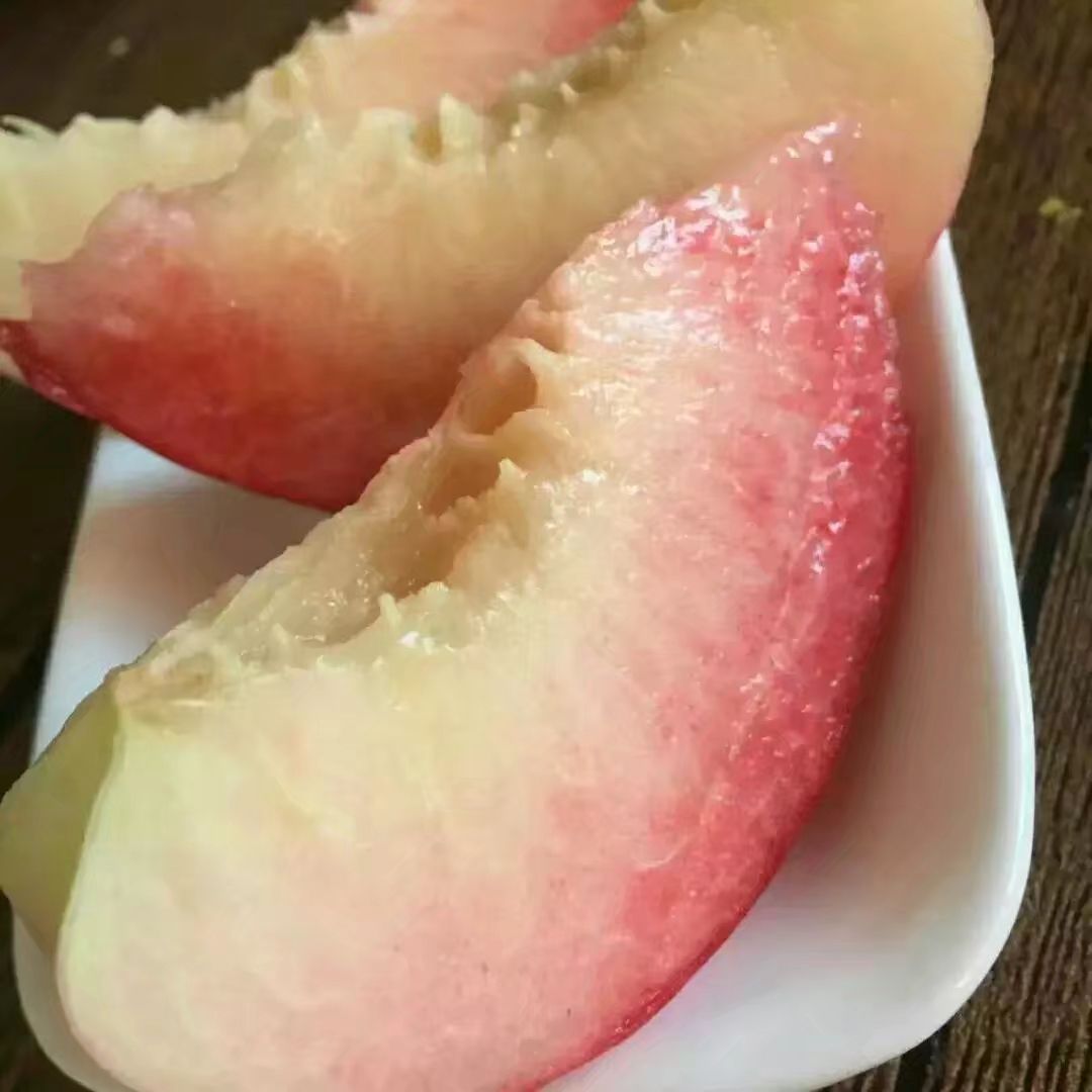 红不软桃  桃香扑鼻 香脆可口 ，特点：（香脆 离胡）耐运输 耐储藏