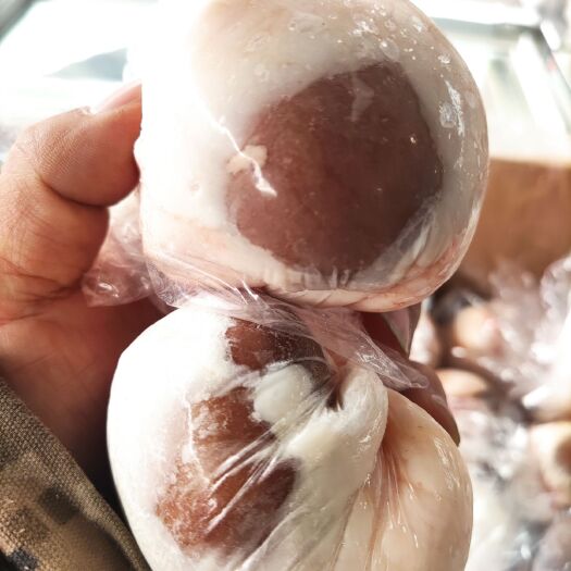 成都羊宝 羊腰，原油腰，高品质，急冻冷鲜，烧烤店，全羊馆，必备食材